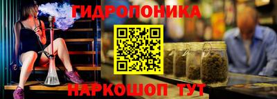 гашик Ликино-Дулёво