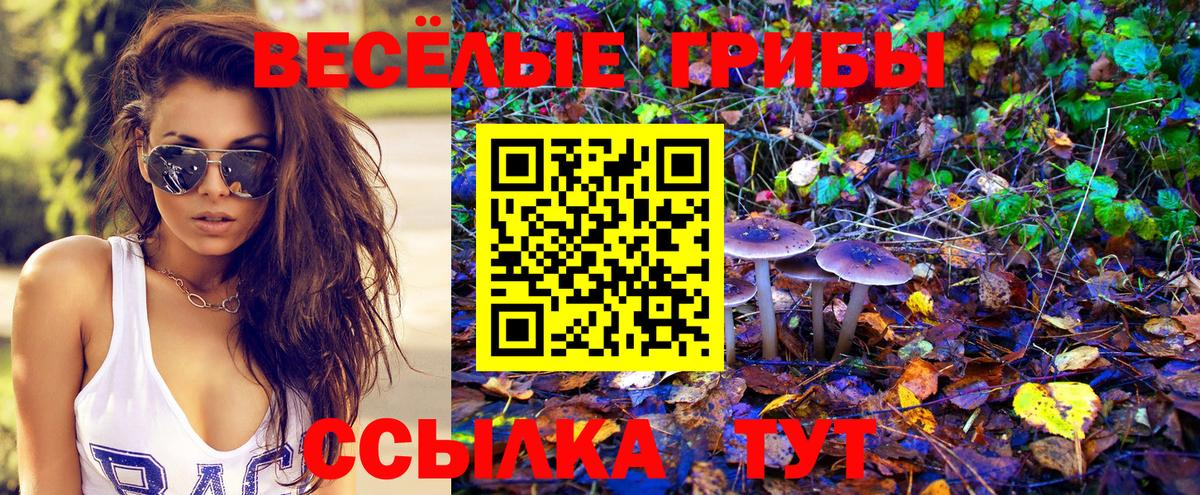 Псилоцибиновые грибы мухоморы Елабуга
